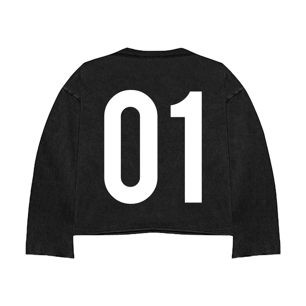 L1